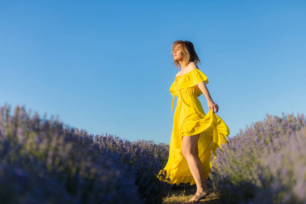 Όμορφη και όμορφη νεαρή γυναίκα σε ένα κίτρινο φόρεμα χαλαρώνει και απολαμβάνει μια βόλτα στον τομέα της λεβάντας στο ηλιοβασίλεμα, τονισμένο - Φωτογραφία, εικόνα
