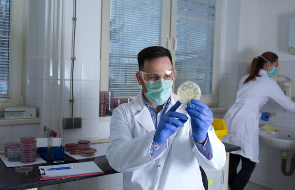 Joven doctor investigador en laboratorio experimentando con muestras en placa de Petri. Científicos trabajando en laboratorio hospitalario. - Foto, Imagen