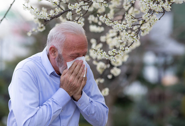 Vanha mies, jolla on allergiaoireita, aivastaa kudokseen. Vanhempi, joka kärsii heinänuhasta yskiessään ulkona. - Valokuva, kuva