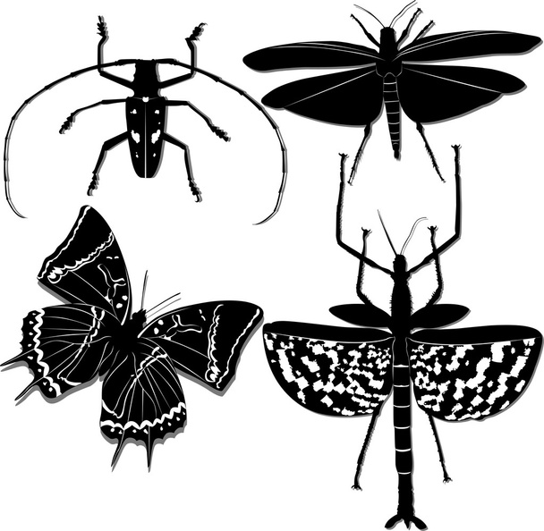 owady na białym tle - Wektor, obraz