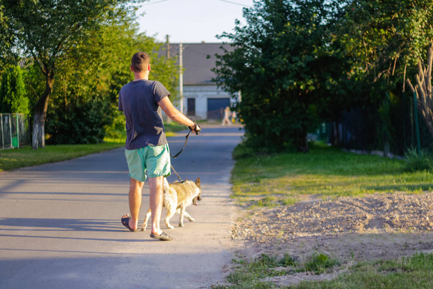 Молодой человек, гуляющий с собакой, сибирская лайка хаски, в деревне, в сельской местности. Широкий шаг, вид сзади. Животное тащит хозяина. Размытый уличный фон с асфальтовой дорогой. Не в фокусе - Фото, изображение