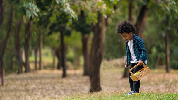mixed race asian and african boy having fun playing alone in green forest during summer - Fotoğraf, Görsel