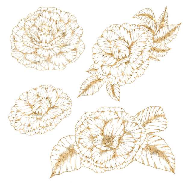 Gold line freesia flowers, wedding stationery design elements, summer botanica - Fotoğraf, Görsel