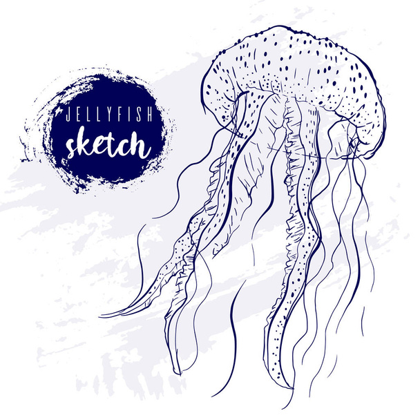 Винтажные животные медузы морской эскиз. Ретро линии стиль medusa.Hand нарисованы под водой. - Вектор,изображение