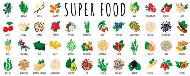 Nagy egészséges szuper élelmiszer készlet, mint acai, quinoa, goji, chia, maca, spirulina, eperfa, kakaó, szezám, kurkuma. Természetes vitamin antioxidáns méregtelenítő élelmiszer-gyűjtemény. Vektor rajzfilm elszigetelt illusztráció. - Vektor, kép