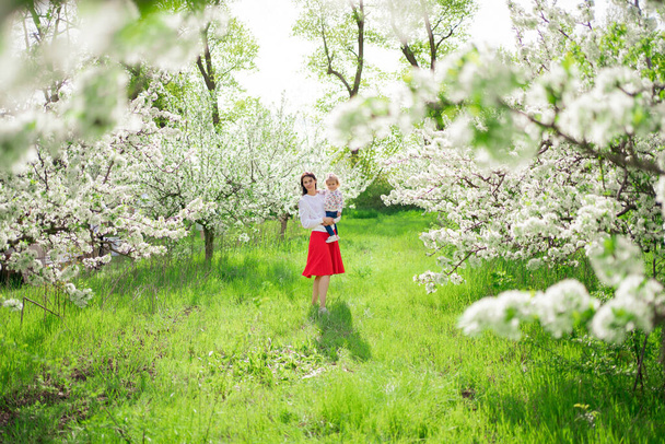 mom on a walk with a daughter in her arms in the park with a flowering trees.  - 写真・画像