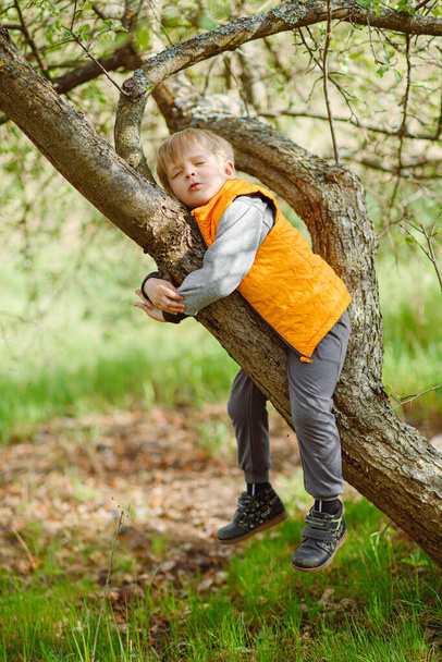 portrait of a fashionable little boy in nature - Photo, Image