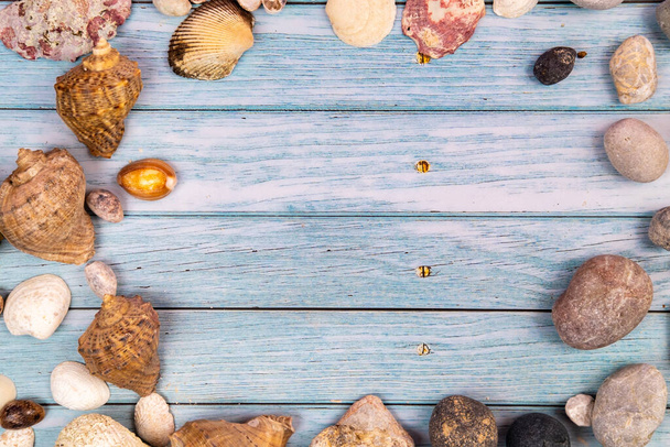 coconuts, rocks and shells on a blue wooden background.Marine theme. - Photo, image