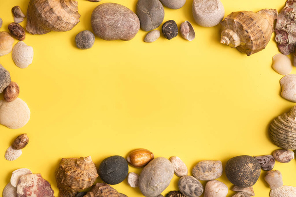 rocks and shells on a yellow background .Marine theme. - Foto, immagini