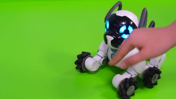 Ρομπότ σκύλος. Σύγχρονες ρομποτικές τεχνολογίες.  - Πλάνα, βίντεο