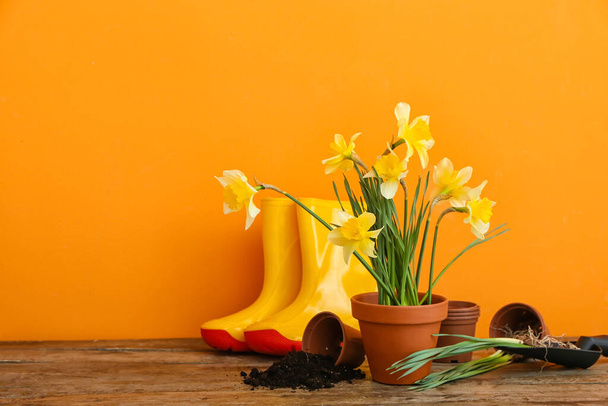 Kertészeti szerszámok nárcisznövényekkel az asztalon - Fotó, kép