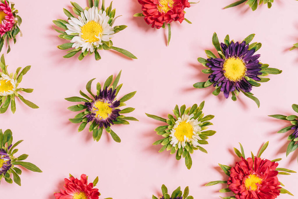 Colorful flowers arranged on a pink background - Foto, imagen