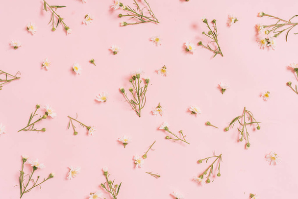 Chrysanten gerangschikt op een roze achtergrond - Foto, afbeelding