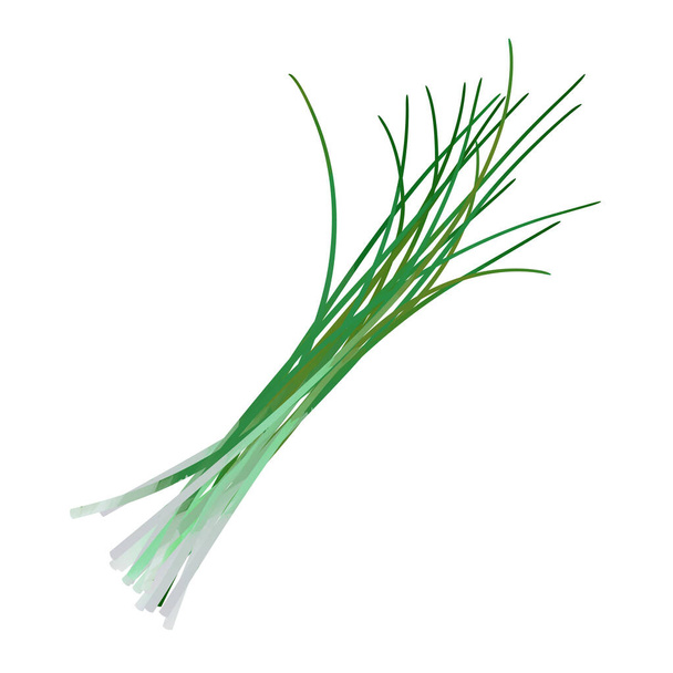Bunch of chives on white background Stock Photo - Alamy
