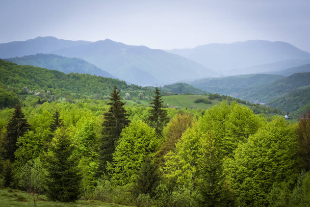 Spring landscape in the Carpathians in the rain - Photo, Image