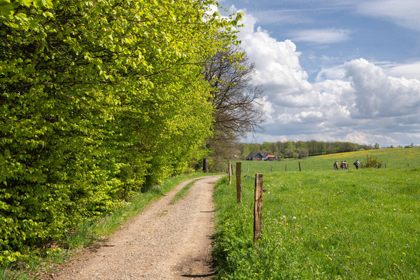 WIPPERFURTH, GERMANY - MAY 13, 2021: Panoramic landscape of hiking trail throught meadows with clouds and blue sky at springtime on May 13, 2021 in  Bergisches Land, Germany - 写真・画像