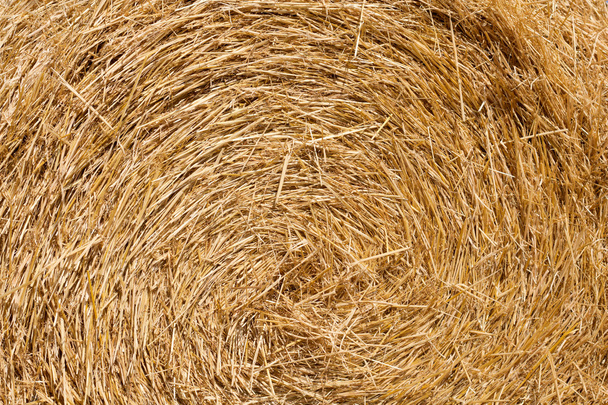 Wheat Haystacks after the harvest. Summer. Texture. - Photo, Image