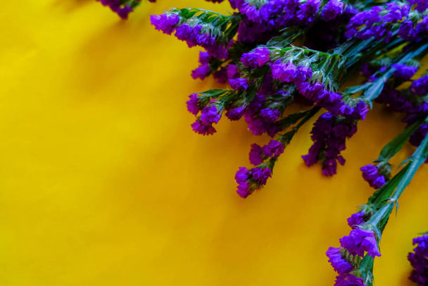 Ramo de flores de popurrí púrpura sobre fondo amarillo. Vista superior. Copiar espacio. Vacaciones, cumpleaños, maqueta del día de la madre. - Foto, imagen