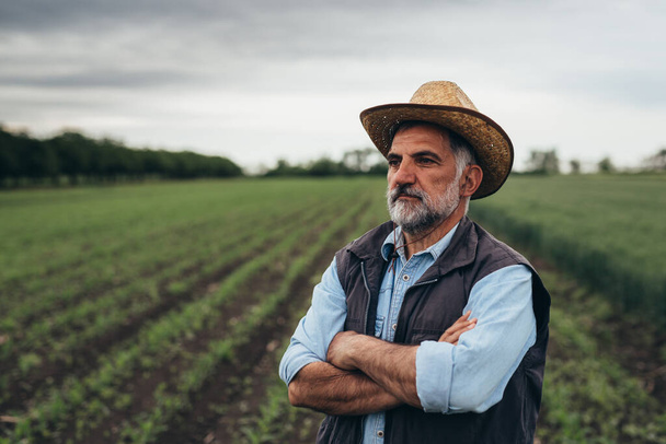 senior farmer posing arms crossed on corn field - Фото, зображення