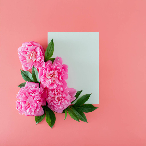 fresh pink peony with green leaves and white paper on pink pastel background with copy space. minimal tropical summer flat lay with copy space. minimal garden background. - Foto, immagini