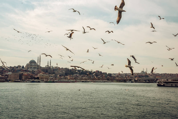 View of the Bosphorus and the city of Istanbul. There are many seagull birds in the sky above the water. Istanbul. Turkey  - Photo, image