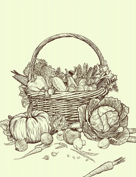 Ręcznie rysowane świeże warzywa w wiklinowym koszu. Szablon do prac projektowych. Ilustracja grawerowanego stylu. - Zdjęcie, obraz
