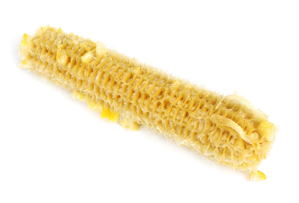 pełni jeść kukurydzy Cob - Zdjęcie, obraz