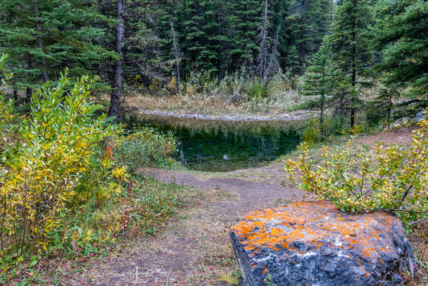 Colori autunnali al Beaver Ponds. Bow Valley Wilderness Area, Alberta, Canada - Foto, immagini