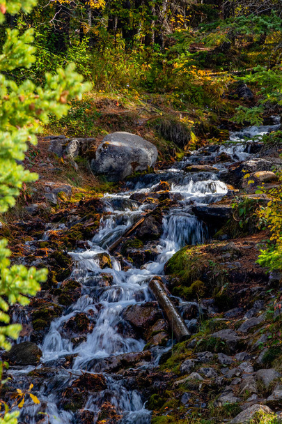 Herbstfarben an den O 'Shaunessy Falls. Bow Valley Wilderness Area, Alberta, Kanada - Foto, Bild