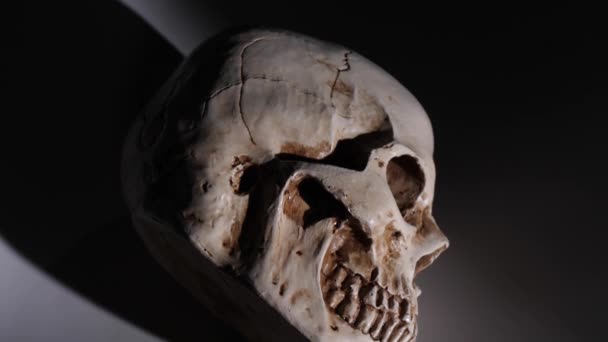 Análisis de un cráneo humano de cerca - Metraje, vídeo