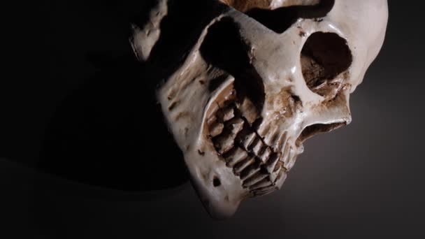 Analyzing of a human skull close up - Footage, Video