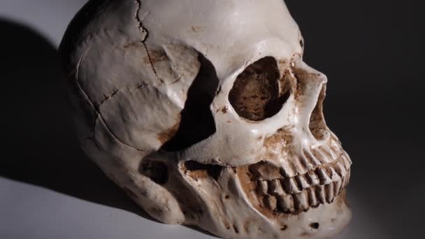 Análise de um crânio humano de perto - Filmagem, Vídeo
