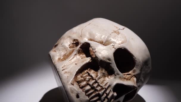 Analyse d'un crâne humain de près - Séquence, vidéo