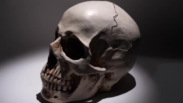 Análisis de un cráneo humano de cerca - Metraje, vídeo