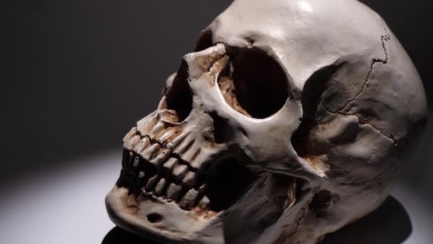Análisis de un cráneo humano de cerca - Imágenes, Vídeo