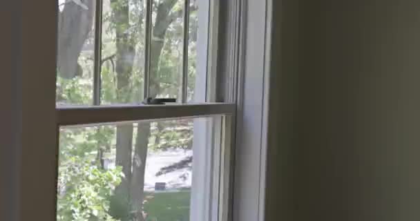 Arbeiter Malerei mit Farbroller auf Schicht weiße Farbe ein Fensterrahmen trimmen - Filmmaterial, Video