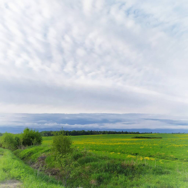 Nubes de trueno se reúnen sobre el campo.  - Foto, imagen