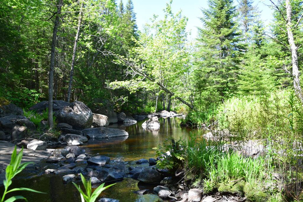 Парк реки Донкастер на юге Квебека - Фото, изображение