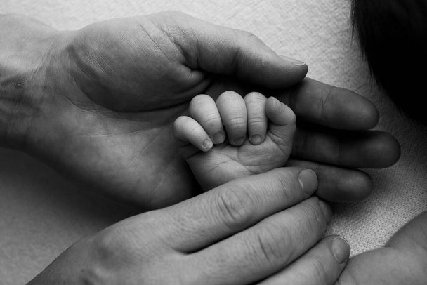 Füße eines Neugeborenen in den Händen eines Vaters, eines Elternteils. Studiofotografie, schwarz-weiß. Glückliches Familienkonzept. - Foto, Bild