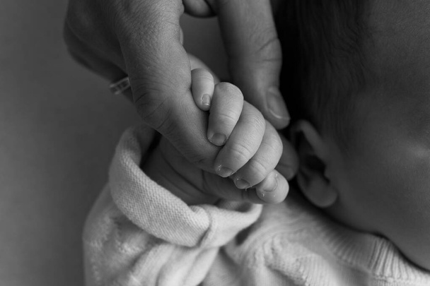 Yeni doğmuş bir bebek annelere, babaların parmaklarına tutunur. Ebeveynlerin elleri ve bebeğin elleri yakın. Bir çocuk ona güveniyor ve sıkı sıkı sarılıyor. Siyah beyaz fotoğraf.  - Fotoğraf, Görsel