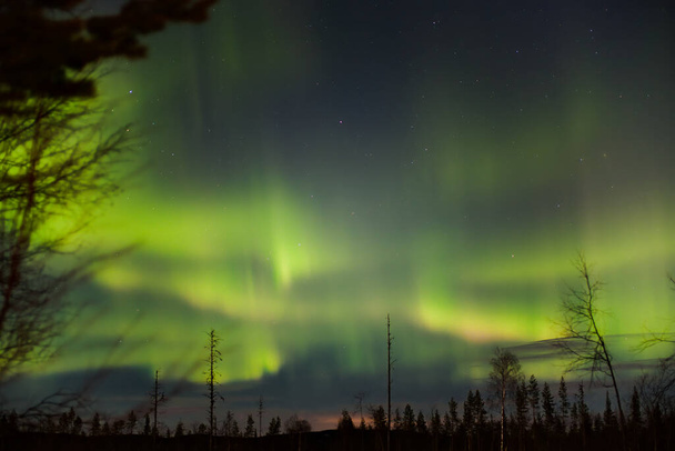 Bright green northern lights over Swedish Lapland. - Photo, Image