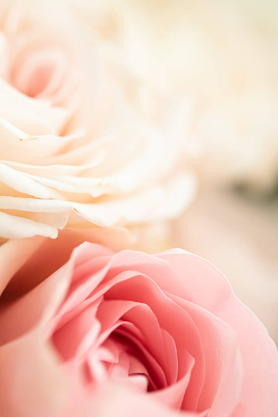 Růžový květ v zahradě, květinová krása a botanické zázemí pro svatební pozvánku a přání k pozdravu, příroda a životní prostředí - Fotografie, Obrázek