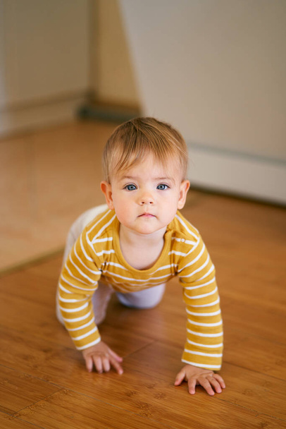 Serious kid is on all fours on the wooden floor in the kitchen. Close-up - 写真・画像