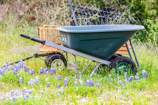 Llano, Texas, USA. Wheelbarrow and Bluebonnet wildflowers in the Texas hill country. - Photo, Image