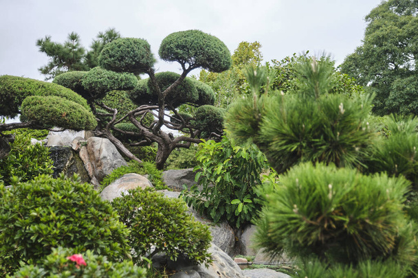 Japanilainen puutarha Buenos Aires, Argentiina. Yksityiskohta kasvien ja kivien huolellisesti sijoitettu tähän hiljaiseen matkailukohde täynnä symboliikkaa. - Valokuva, kuva