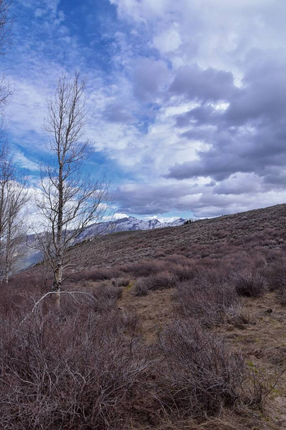 Вид на ландшафт Одинокого Пика с тропы Маунт Махогани, WasatchFront Rocky Mountains, by Ohbad and Draper, Utah. В США. США - Фото, изображение