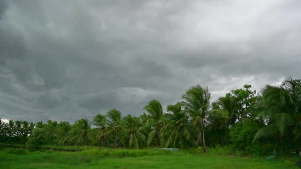 Der Sturm trifft die Wälder, und in Thailand fällt heftiger Regen. Nakhon Si Thammarat - Filmmaterial, Video