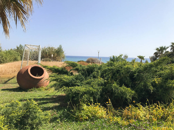 velký keramický džbán se zelenými rostlinami roste v něm stojí na zelené trávě. Protaras. Ayia Napa. Kypr - Fotografie, Obrázek