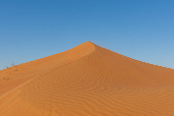 Duna de arena pico cresta y arena del desierto texturizado y modelado haciendo espectaculares formas cambiantes. Emiratos Árabes Unidos o Sahara Desert Concept. - Foto, imagen