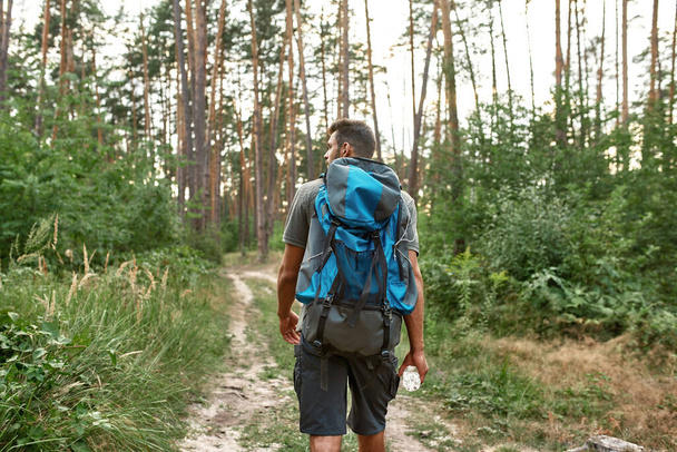 Człowiek z plecakiem turystycznym trekking samotnie w letnim lesie - Zdjęcie, obraz